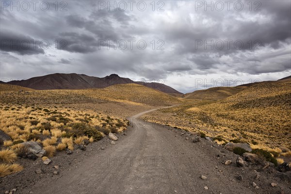 Gravel road through the Andes