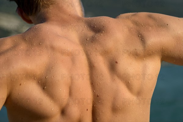 Back muscles of a young muscular man