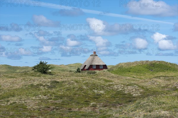 Red wooden house with thatched roof