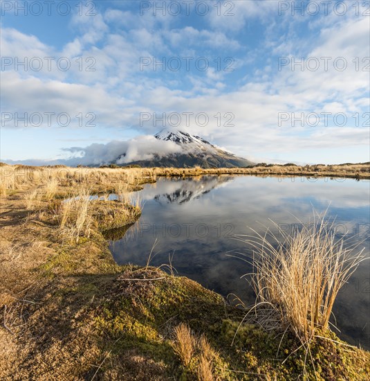 Reflection in Puakai Tarn