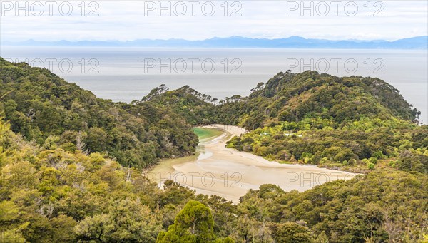 View of sea and beach