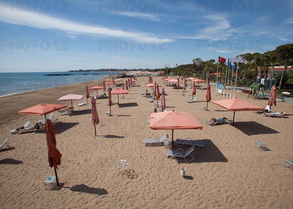 Empty beach with sunshades