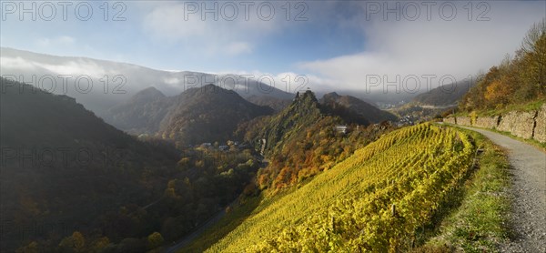 View from the Red Wine Trail of the castle ruins Are and Altenahr