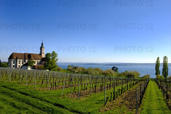 Pilgrim church Birnau with vineyard