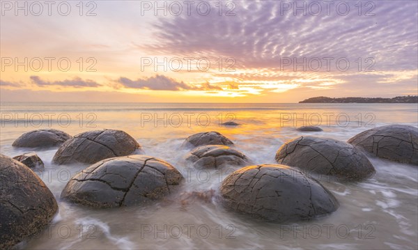 Moeraki boulders