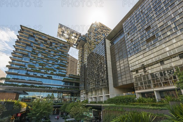 Green high-rise with plants on facade