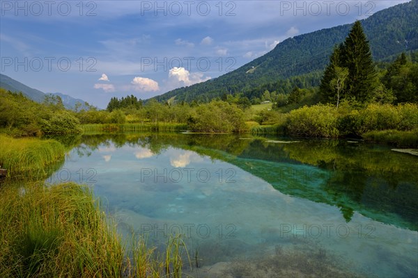 Sava Dolinka spring