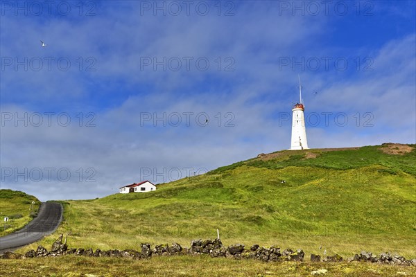 Reykjanesviti