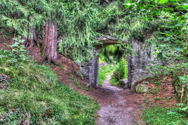 Overgrown castle gate