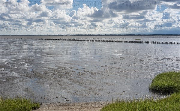 Low tide