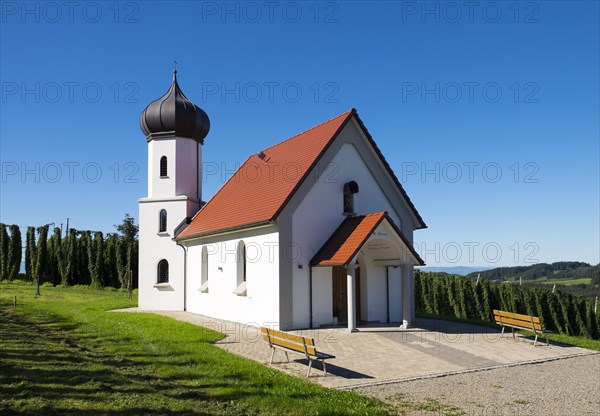 Chapel of St. George and hop garden