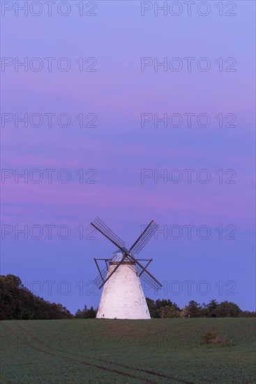 Dutch windmill in evening light