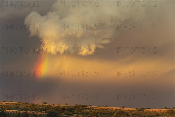 Evening thunderstorm with Cumulonimbus cloud and rainbow above a sand dune