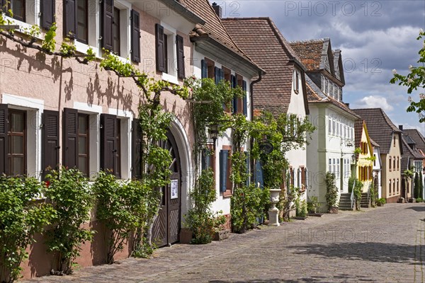 Historical Theresienstrasse