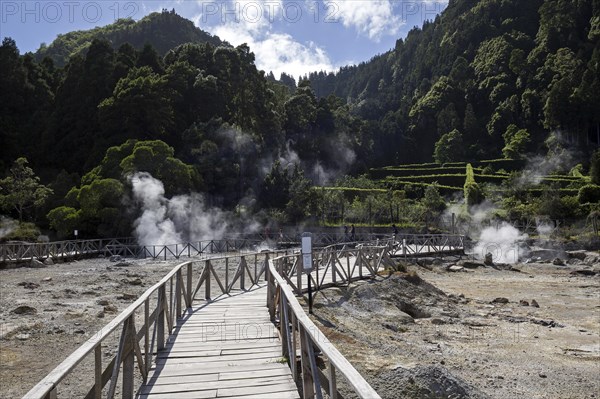 Wooden footbridge through fumaroles