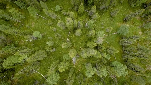 Drone shot