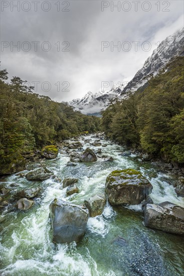 Hollyford river with snowy mountains