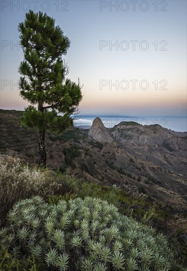 Rock Roque de Agando at sunset