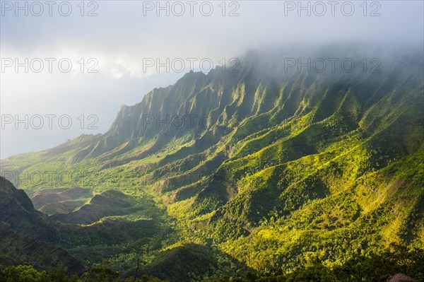 Napali coast with green mountains seen from the Kalalau lookout