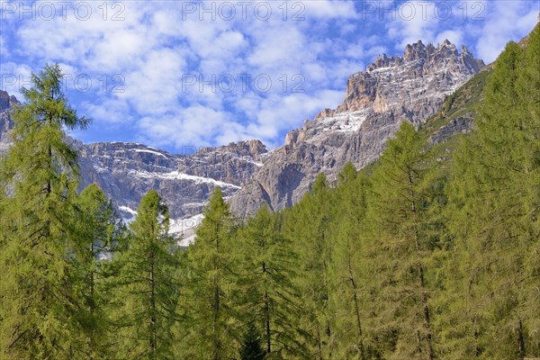 View from the Fischleintal with the larch forest to the Dreischusterspitze 3152 m