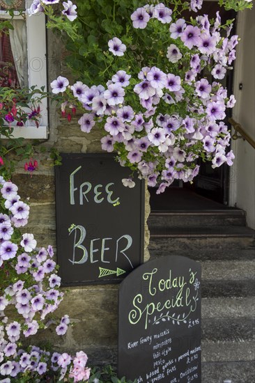 Sign Free Beer with small print