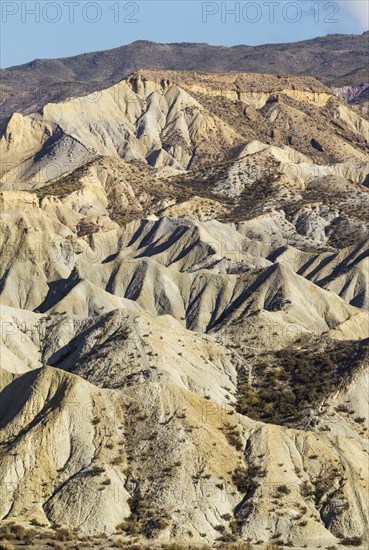 Bare ridges of eroded sandstone