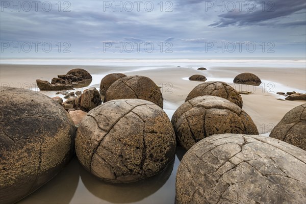 Moeraki Boulders on the beach