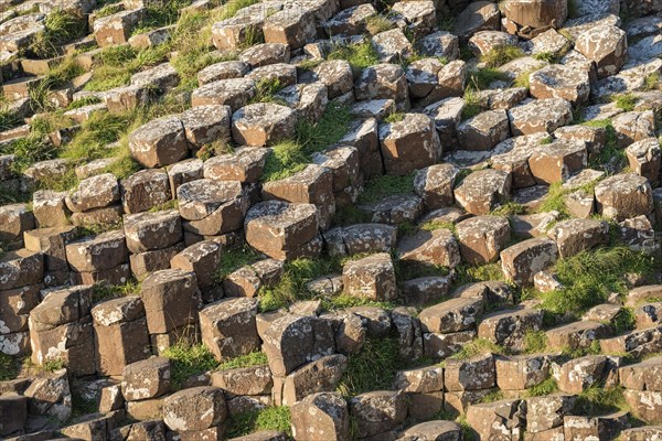 Hexagonal basalt columns towering from the ground at Giant's Causeway