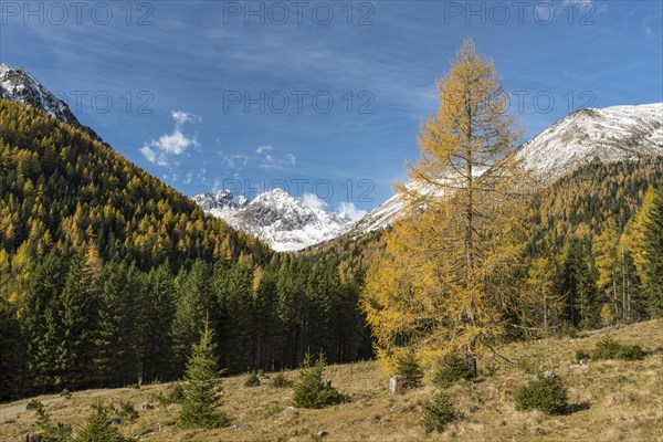 Panoramic view from the autumnal Cracow plain near Etrachsee in direction of Kircheleck and Predigtstuhl
