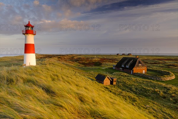 Lighthouse List-Ost with typical Frisian houses with thatched roof
