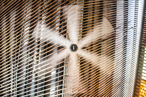 Ceiling fan rotating