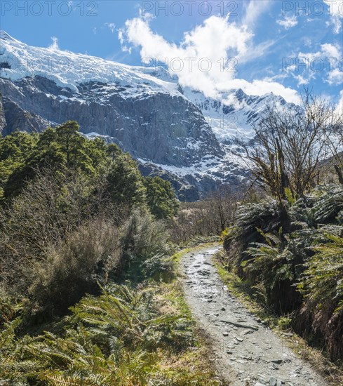 Hiking trail