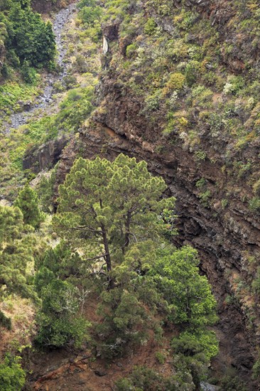 Barranco De Garome