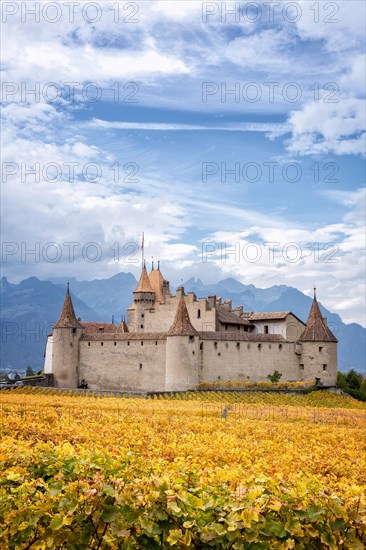 Aigle Castle surrounded by vineyards