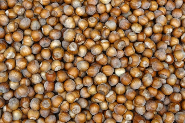 Hazelnuts