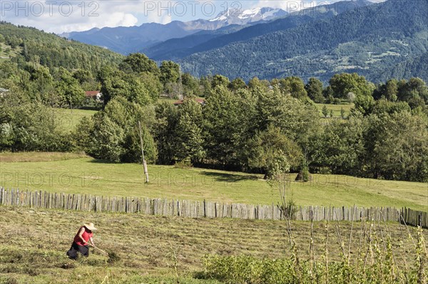 Georgian People working in field