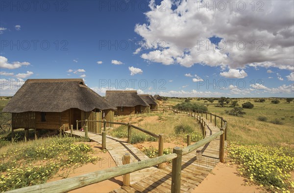 Chalets of the Rooiputs Lodge