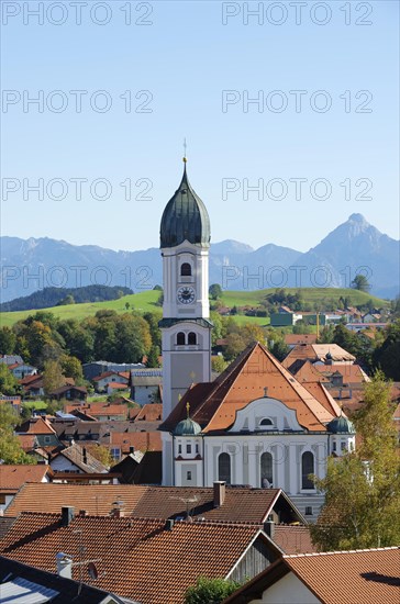 View of Nesselwang in front of the Alps