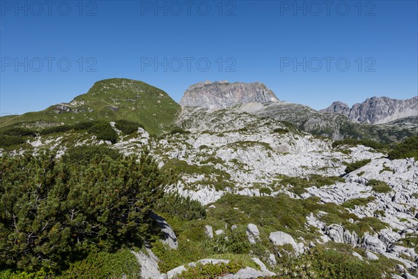 Karst landscape