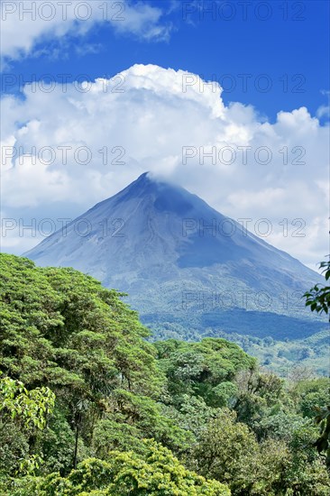 Arenal volcano behind tropical forest