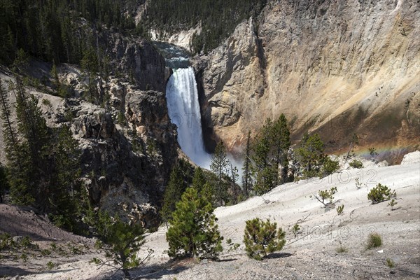 Lower Falls