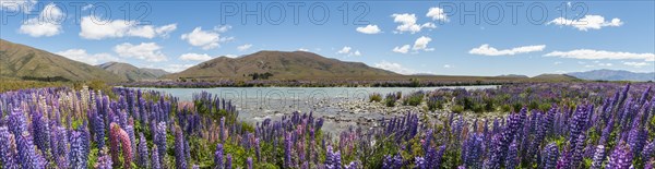 Riverbed of Ahuriri River