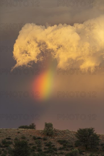 Evening thunderstorm with Cumulonimbus cloud and rainbow above a sand dune