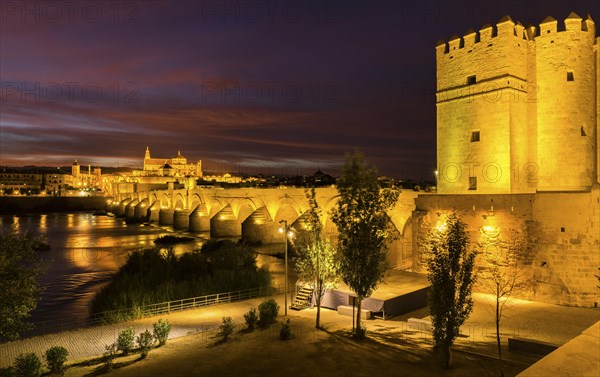 Illuminated fortress Torre de la Calahorra with Puente Romano