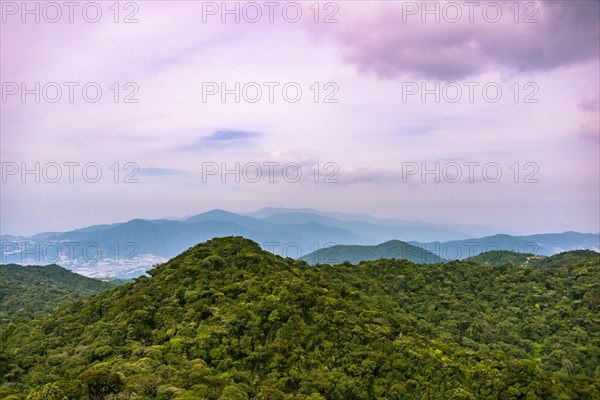 View over the Mossy Forest