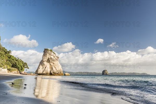 Beach at Cathedral Cove