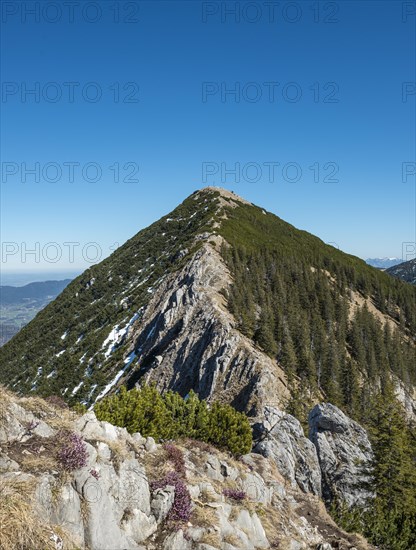 Ridge and summit of the Brecherspitz with remaining snow in spring