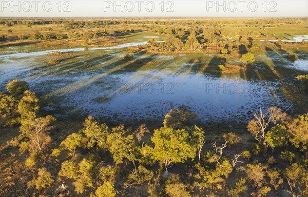 Freshwater marshes with streams