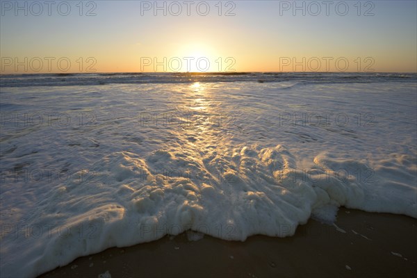 Sea Foam