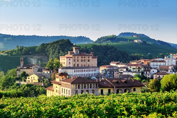 Vine fields at Barolo